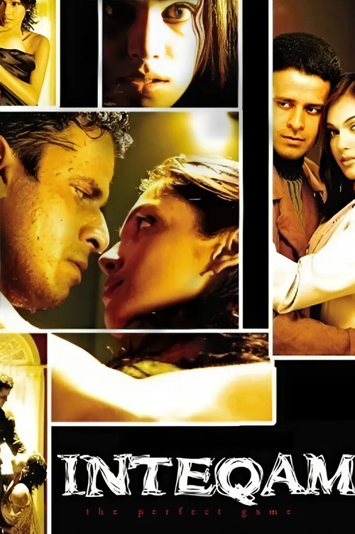 Inteqam: The Perfect Game