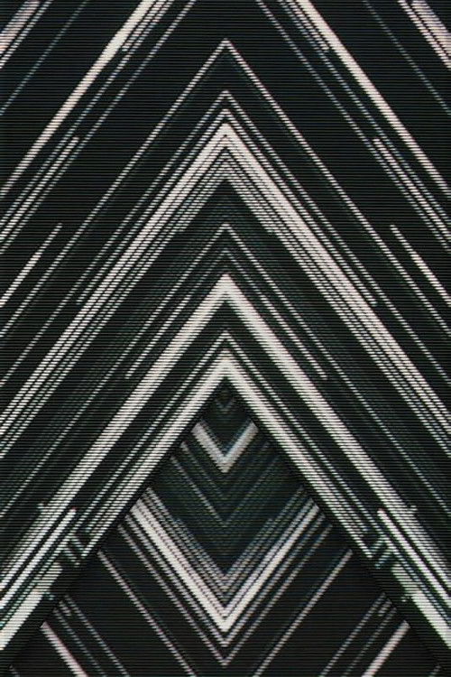 SAKANAQUARIUM 2015-2016 "NF Records launch tour" -LIVE at NIPPON BUDOKAN 2015.10.27-