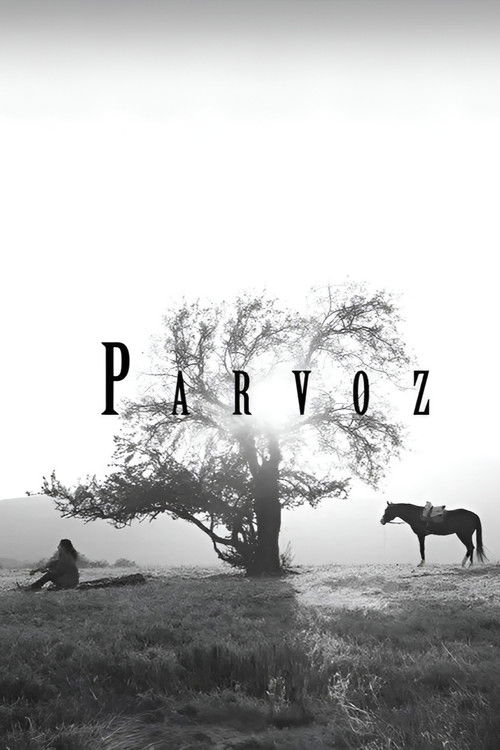 Parvoz