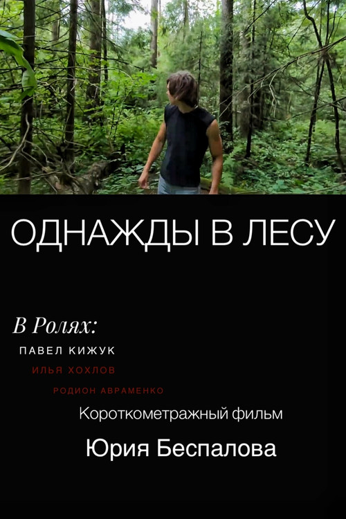 Once Upon a Time in the Forest