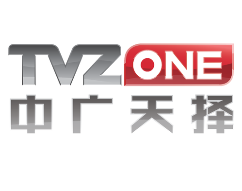 TVZone Media