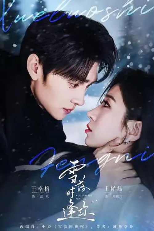 雪落时逢你