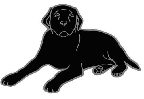 Black Dog Television