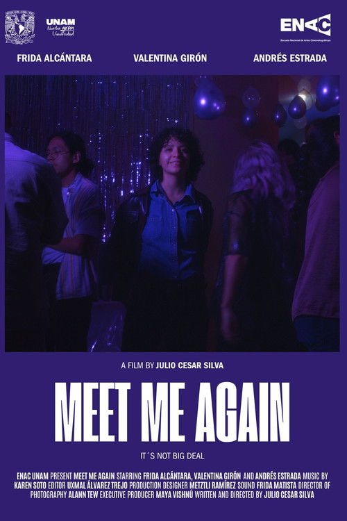 Meet Me Again