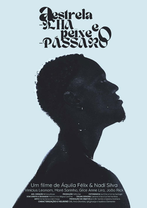 A Estrela-ilha e o Peixe-pássaro