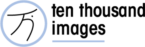 Ten Thousand Images