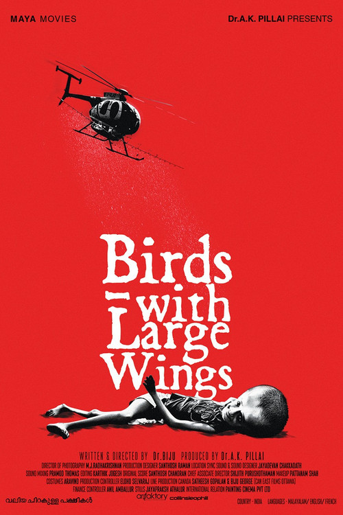 Valiya Chirakulla Pakshikal