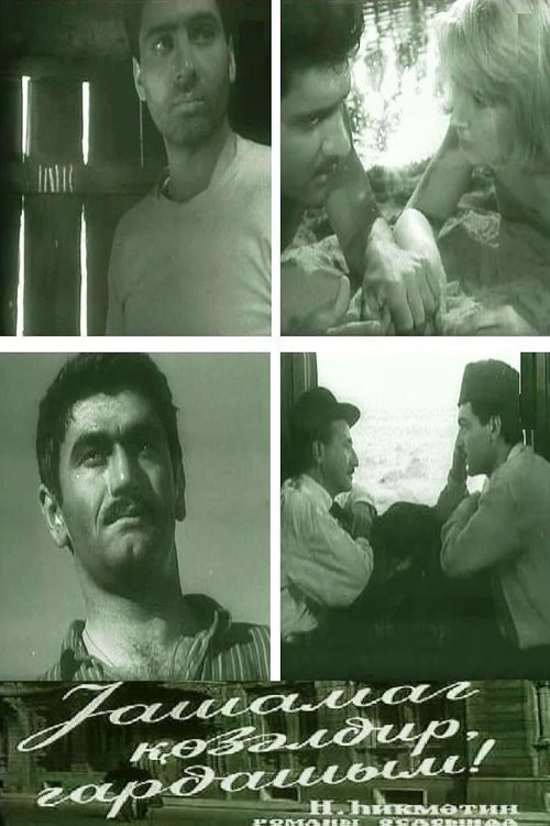 The Life is Beautiful, Brother!