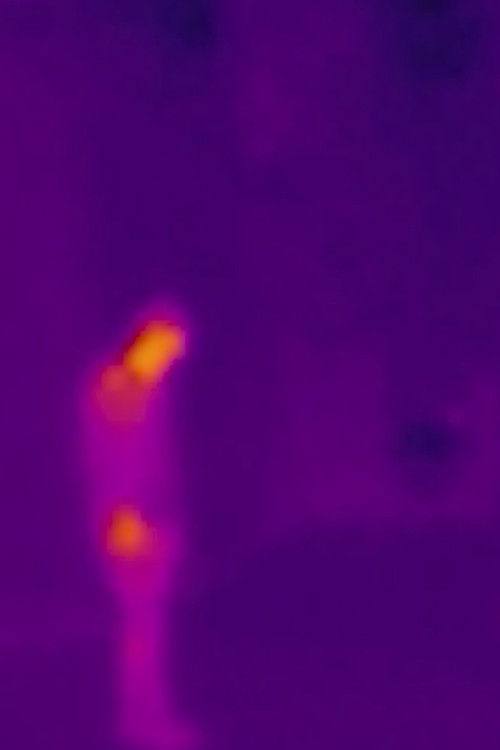 How Did I Get to Fly?