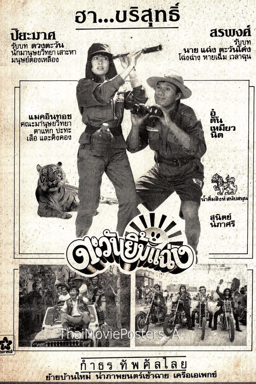 ตะวันยิ้มแฉ่ง