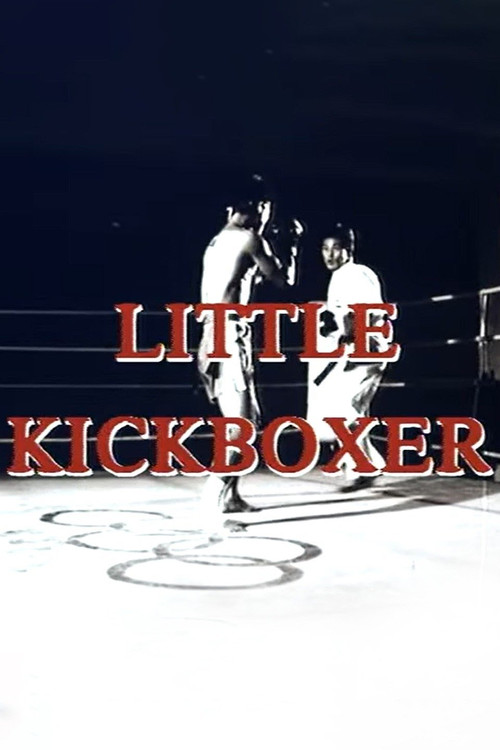 Thunder Ninja Kids: Little Kickboxer