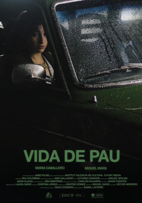 Vida de pau