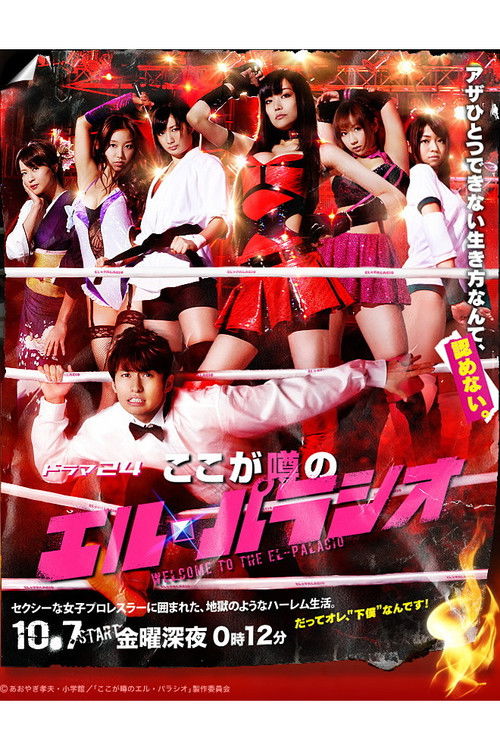 Welcome to the El-Palacio