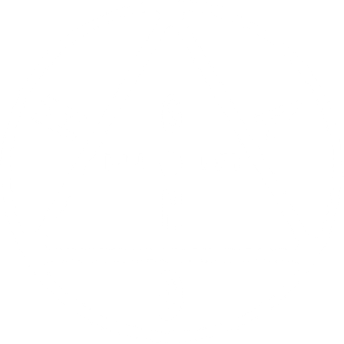 Mad Gene Media