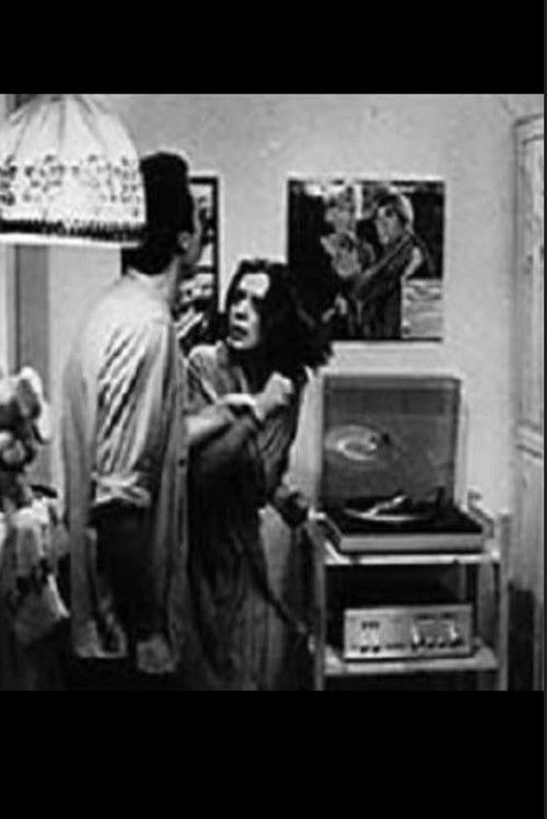 Tales of a Honeycomb