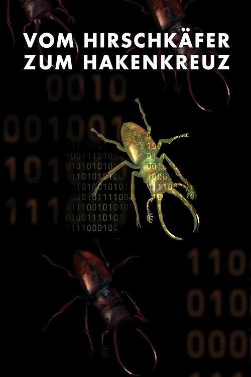 From Stag Beetle to Swastika
