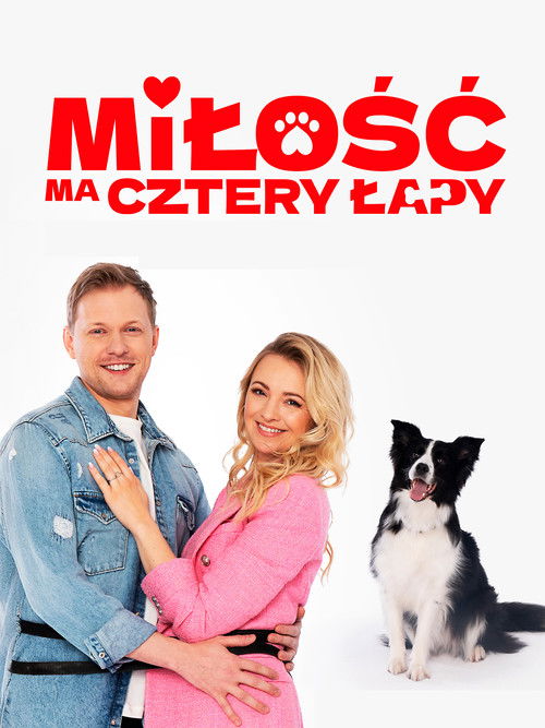 Miłość ma cztery łapy