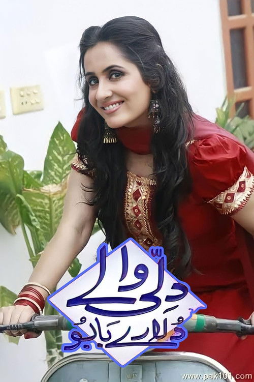 Dilli Walay Dularay Babu