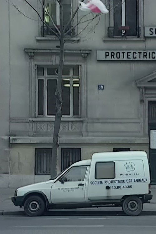 We Are All Cockroaches