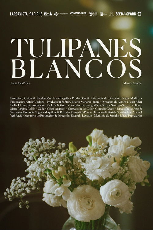Tulipanes blancos