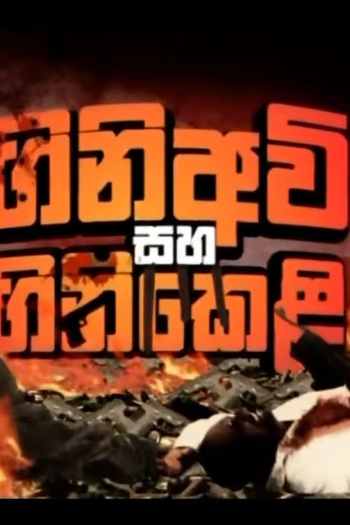 Firearms and Fireworks