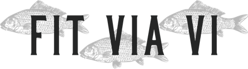 Fit Via Vi