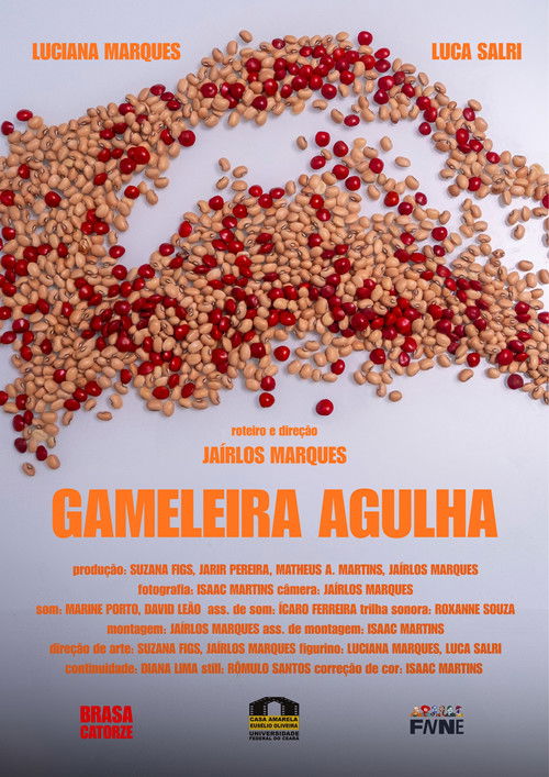 Gameleira Agulha