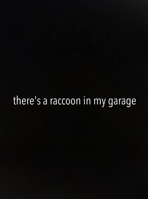 There's a Raccoon in My Garage