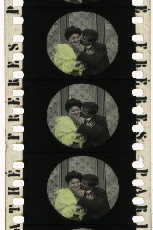 The Three Phases Of The Moon