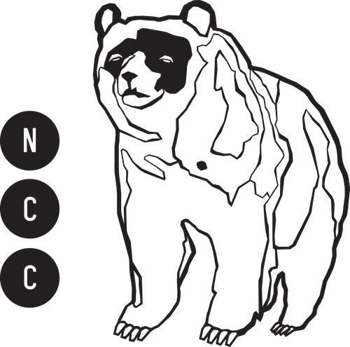 North Country Cinema