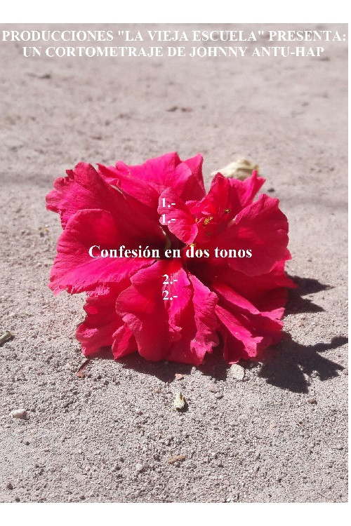 Confesión en dos tonos