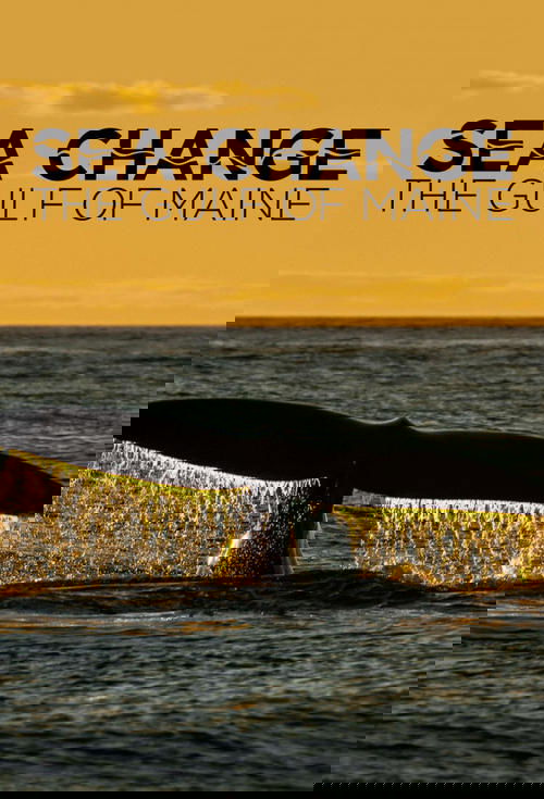 Sea Change: The Gulf of Maine