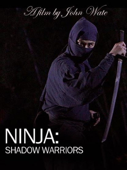 Ninja Shadow Warriors