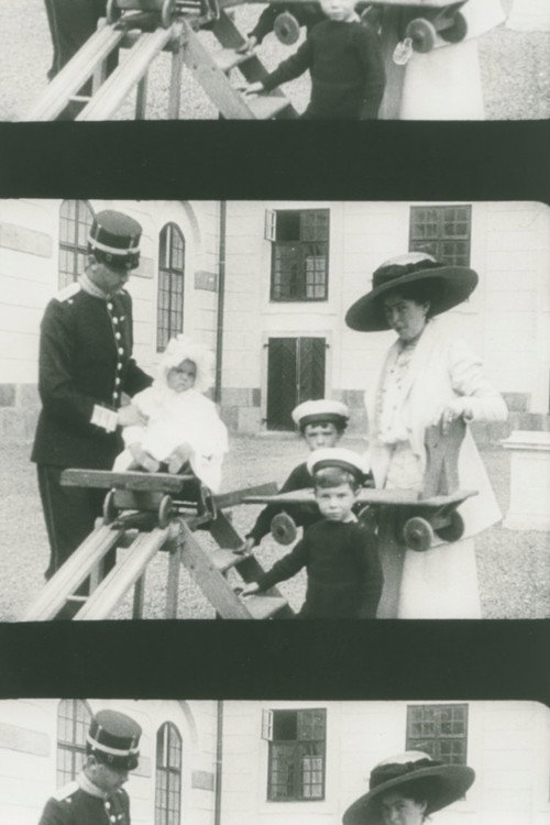 The Crown Prince Couple at Drottningholm