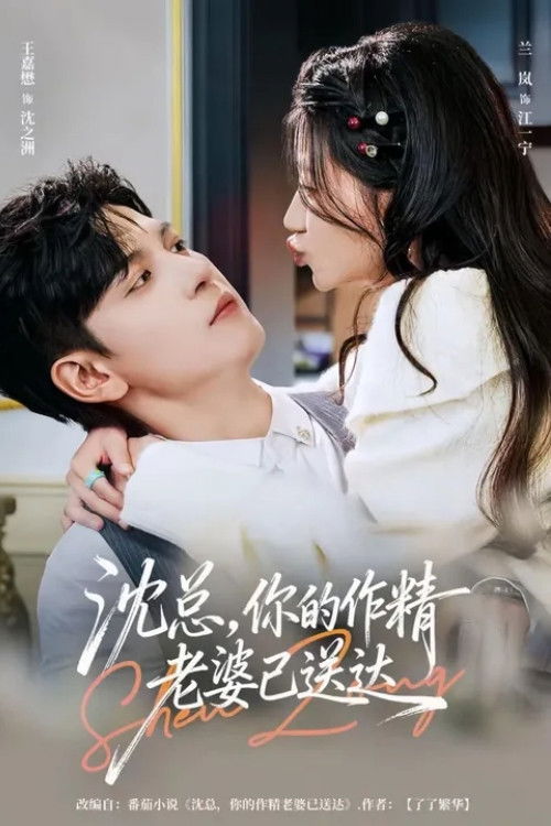 沈总，你的作精老婆已送达