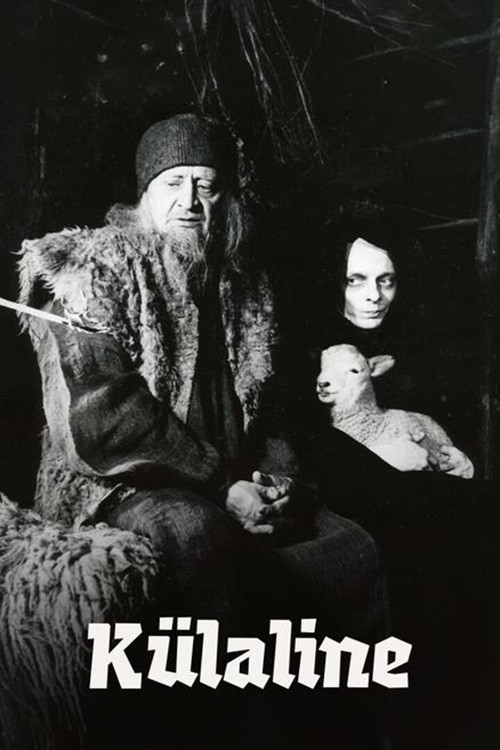The Visitor