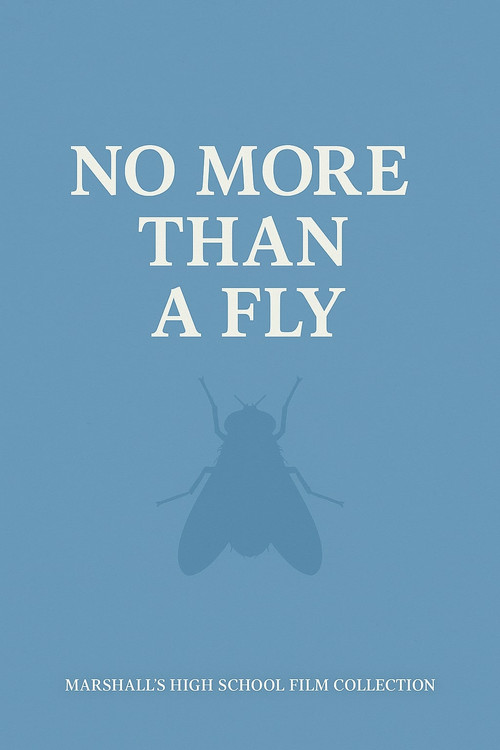 NO MORE THAN A FLY