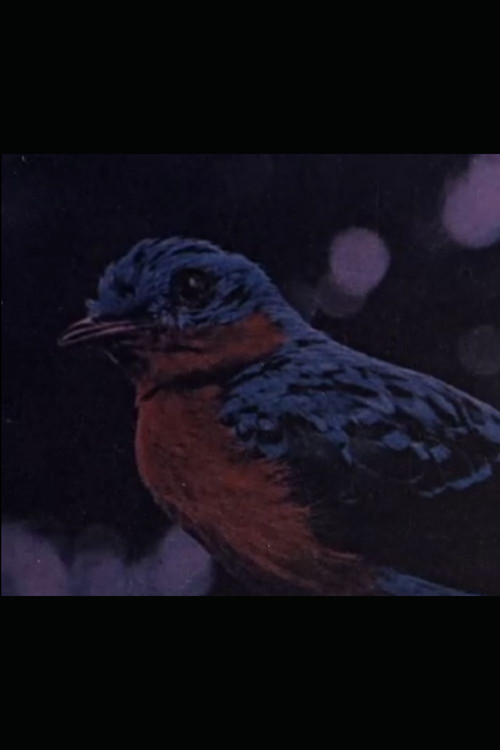 Retrato de Villa-Lobos