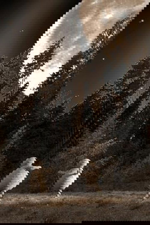 The Institute of The Dream