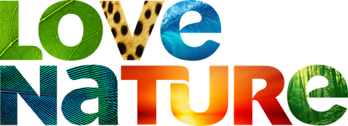 Love Nature