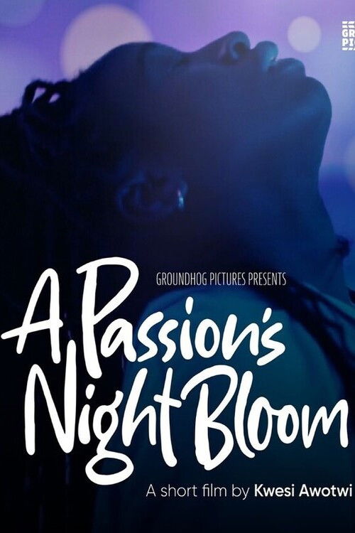 A Passion's Night Bloom