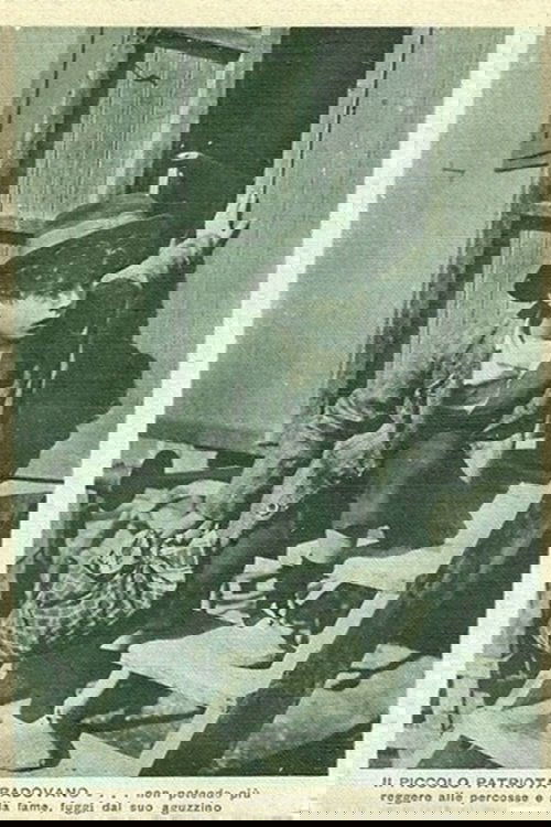 The Little Patriot from Padua