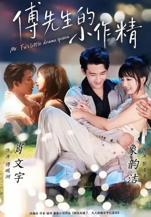 傅先生的小作精