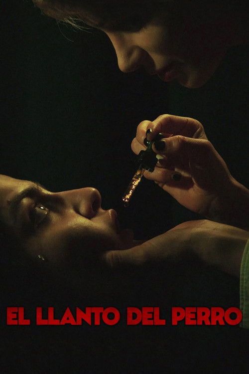 El llanto del perro