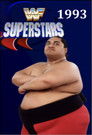 Superstars - 1993