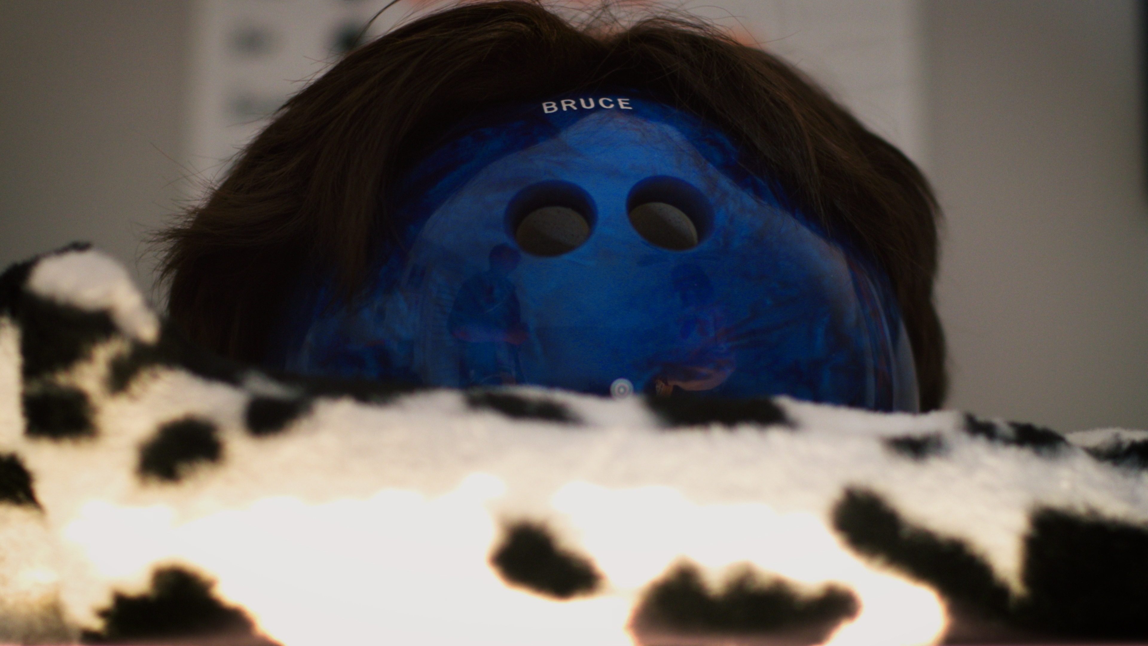 Bowling Bruce