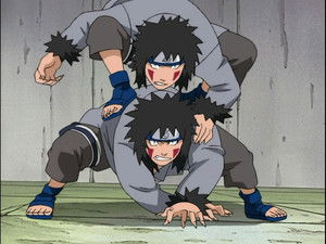 Akamaru Unleashed! Who's Top Dog Now?