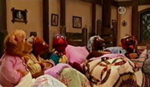 Bears Try to Hibernate