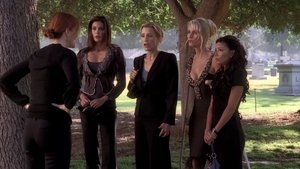 They Asked Me Why I Believe in You