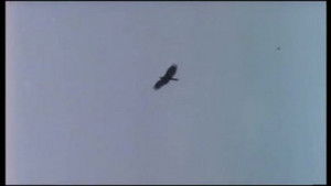 Valley of the Eagles